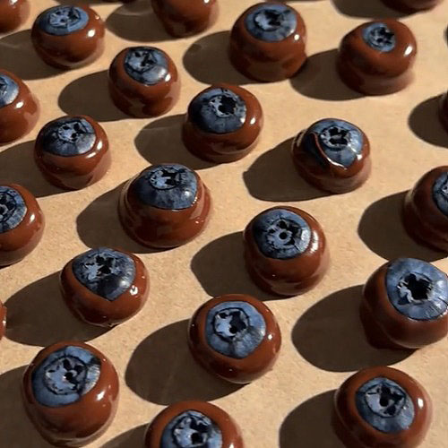 chocolate covered blueberries